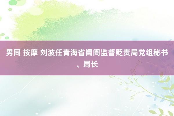 男同 按摩 刘波任青海省阛阓监督贬责局党组秘书、局长