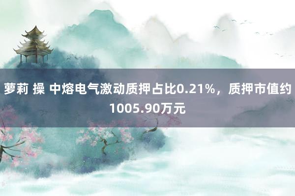 萝莉 操 中熔电气激动质押占比0.21%，质押市值约1005.90万元