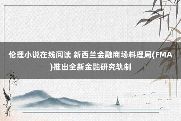 伦理小说在线阅读 新西兰金融商场料理局(FMA)推出全新金融研究轨制