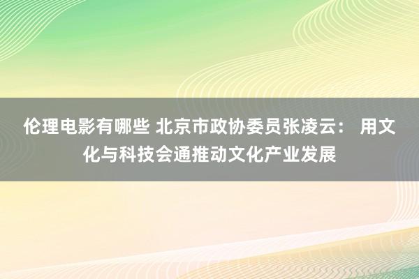 伦理电影有哪些 北京市政协委员张凌云： 用文化与科技会通推动文化产业发展