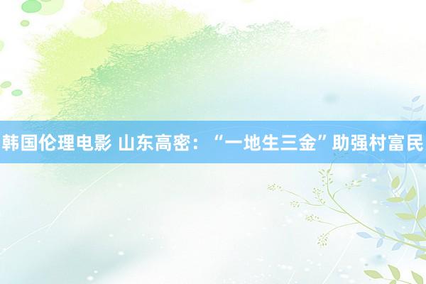 韩国伦理电影 山东高密：“一地生三金”助强村富民