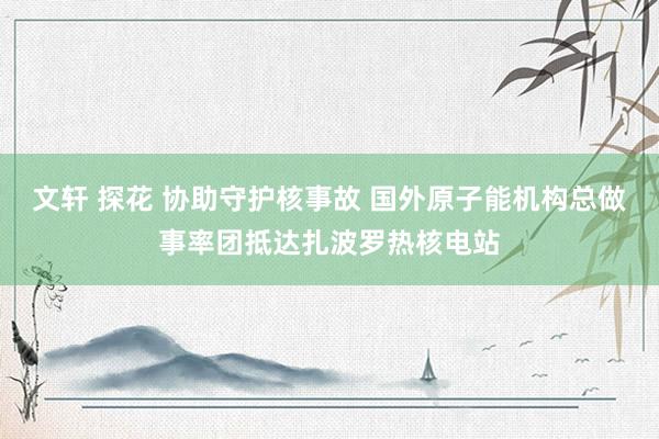 文轩 探花 协助守护核事故 国外原子能机构总做事率团抵达扎波罗热核电站