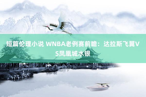 短篇伦理小说 WNBA老例赛前瞻：达拉斯飞翼VS凤凰城水银