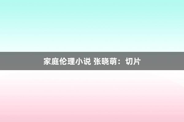 家庭伦理小说 张晓萌：切片