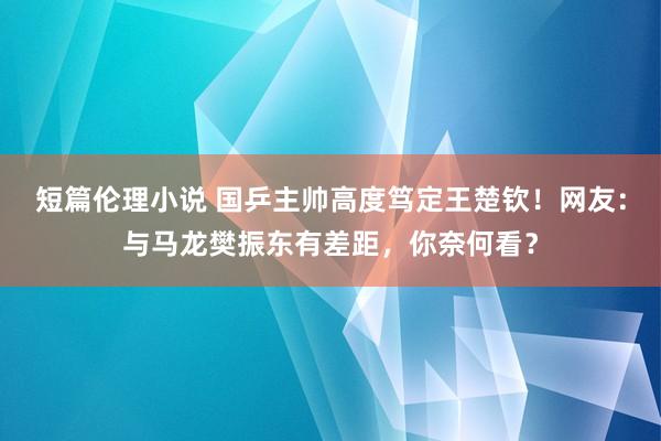 短篇伦理小说 国乒主帅高度笃定王楚钦！网友：与马龙樊振东有差距，你奈何看？