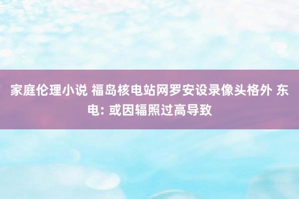 家庭伦理小说 福岛核电站网罗安设录像头格外 东电: 或因辐照过高导致