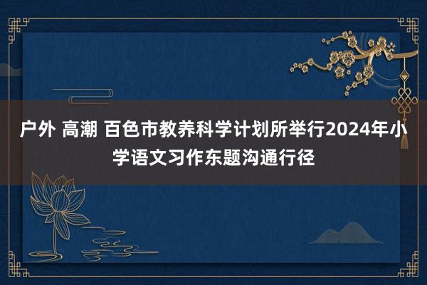 户外 高潮 百色市教养科学计划所举行2024年小学语文习作东题沟通行径