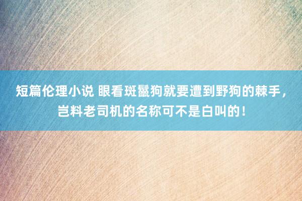 短篇伦理小说 眼看斑鬣狗就要遭到野狗的棘手，岂料老司机的名称可不是白叫的！