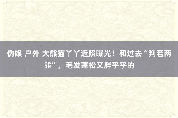 伪娘 户外 大熊猫丫丫近照曝光！和过去“判若两熊”，毛发蓬松又胖乎乎的