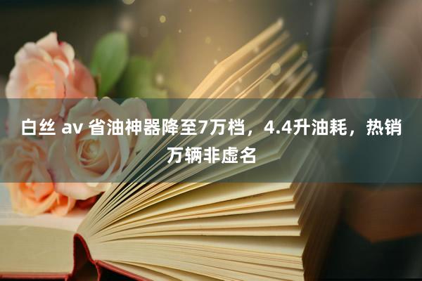 白丝 av 省油神器降至7万档，4.4升油耗，热销万辆非虚名