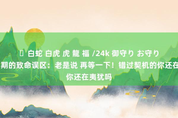 ✨白蛇 白虎 虎 龍 福 /24k 御守り お守り 牛市初期的致命误区：老是说 再等一下！错过契机的你还在夷犹吗