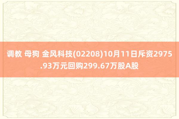 调教 母狗 金风科技(02208)10月11日斥资2975.93万元回购299.67万股A股