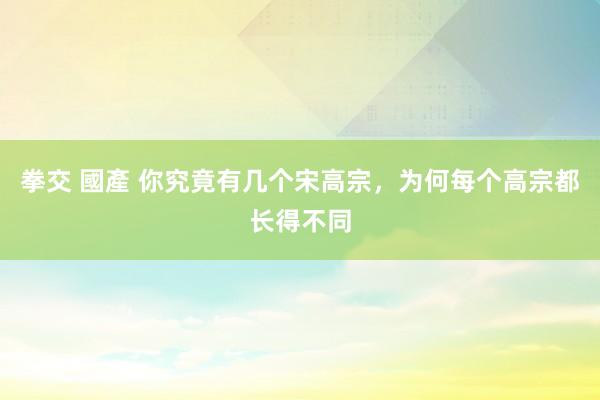 拳交 國產 你究竟有几个宋高宗，为何每个高宗都长得不同