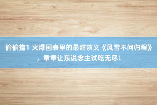 偷偷撸1 火爆国表里的最甜演义《风雪不问归程》，章章让东说念主试吃无尽！