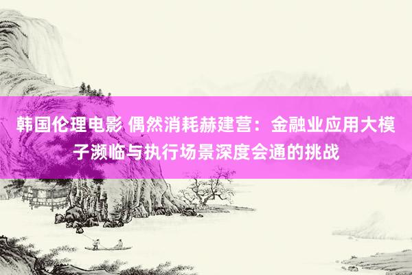 韩国伦理电影 偶然消耗赫建营：金融业应用大模子濒临与执行场景深度会通的挑战