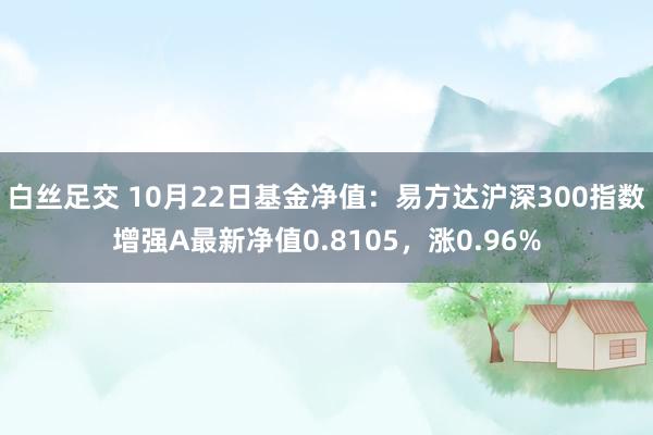 白丝足交 10月22日基金净值：易方达沪深300指数增强A最新净值0.8105，涨0.96%