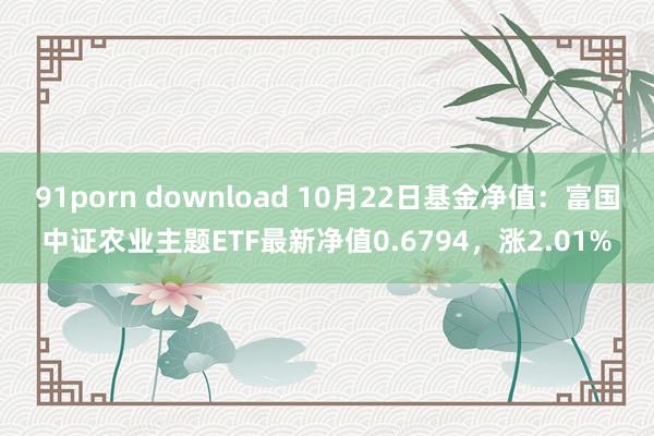 91porn download 10月22日基金净值：富国中证农业主题ETF最新净值0.6794，涨2.01%