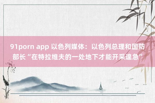 91porn app 以色列媒体：以色列总理和国防部长“在特拉维夫的一处地下才能开采遑急”