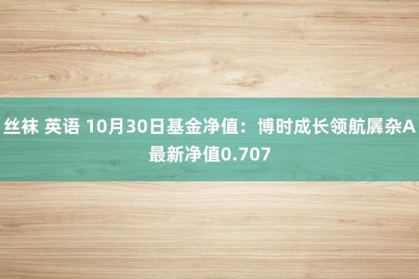 丝袜 英语 10月30日基金净值：博时成长领航羼杂A最新净值0.707