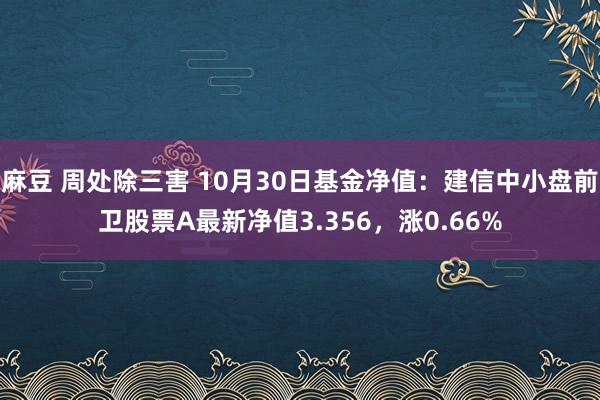 麻豆 周处除三害 10月30日基金净值：建信中小盘前卫股票A最新净值3.356，涨0.66%