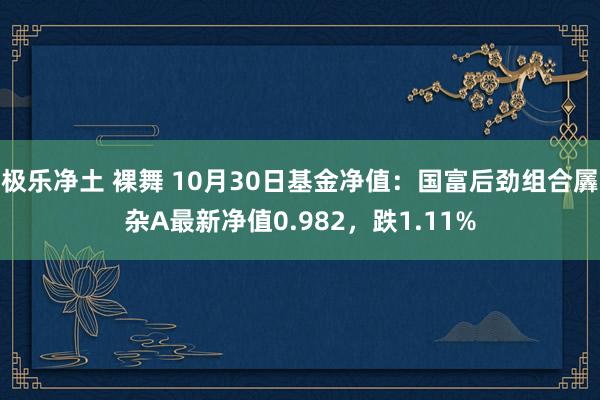 极乐净土 裸舞 10月30日基金净值：国富后劲组合羼杂A最新净值0.982，跌1.11%