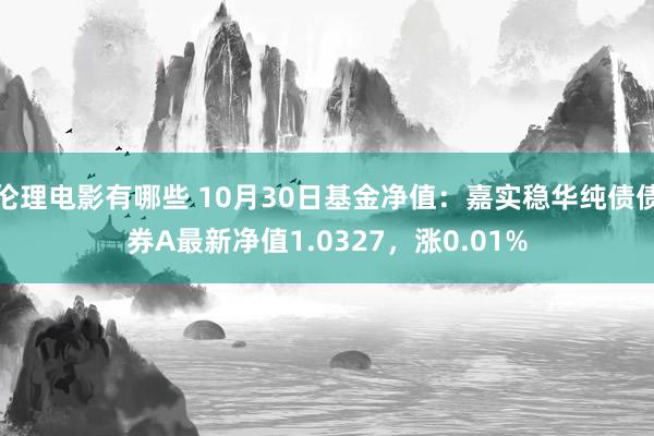 伦理电影有哪些 10月30日基金净值：嘉实稳华纯债债券A最新净值1.0327，涨0.01%