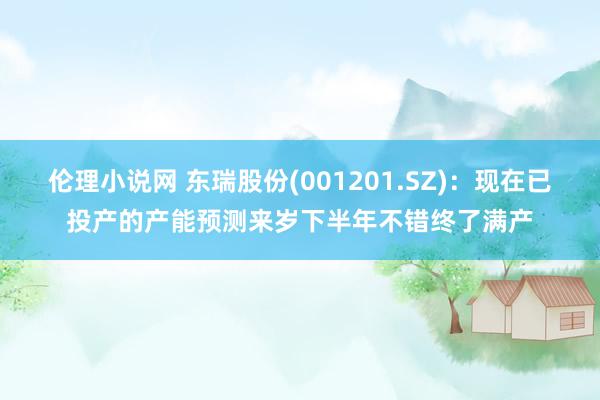 伦理小说网 东瑞股份(001201.SZ)：现在已投产的产能预测来岁下半年不错终了满产