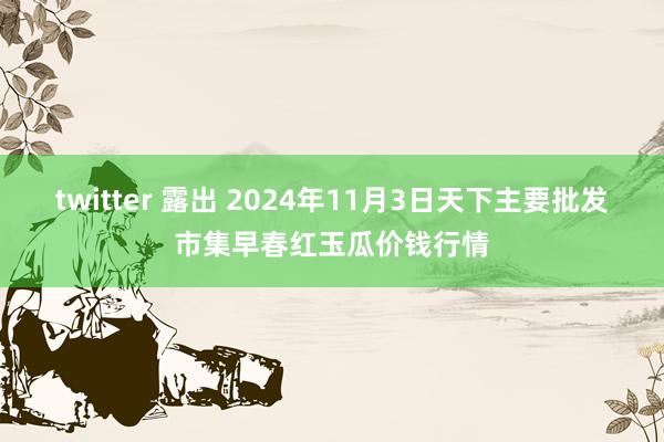 twitter 露出 2024年11月3日天下主要批发市集早春红玉瓜价钱行情