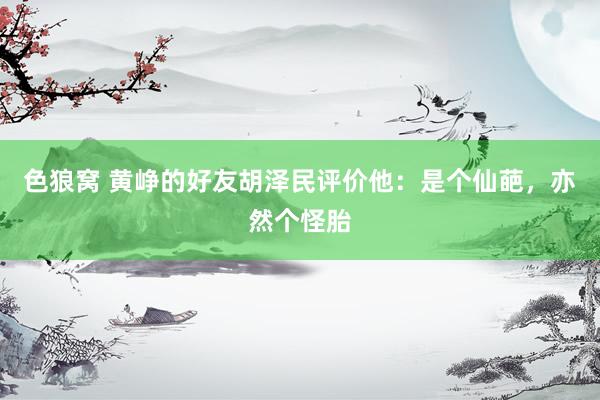 色狼窝 黄峥的好友胡泽民评价他：是个仙葩，亦然个怪胎