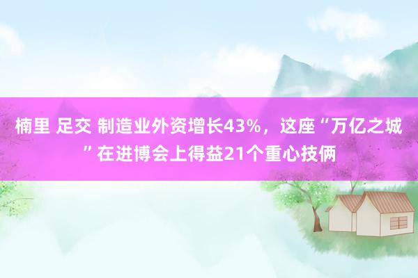 楠里 足交 制造业外资增长43%，这座“万亿之城”在进博会上得益21个重心技俩