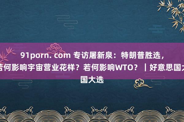 91porn. com 专访屠新泉：特朗普胜选，将若何影响宇宙营业花样？若何影响WTO？｜好意思国大选