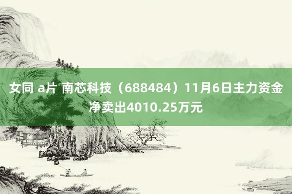 女同 a片 南芯科技（688484）11月6日主力资金净卖出4010.25万元