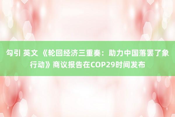 勾引 英文 《轮回经济三重奏：助力中国落罢了象行动》商议报告在COP29时间发布