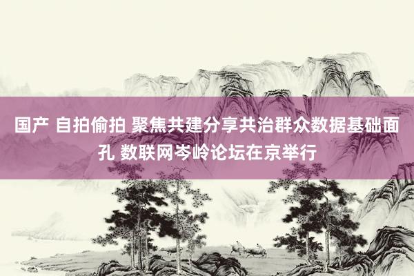 国产 自拍偷拍 聚焦共建分享共治群众数据基础面孔 数联网岑岭论坛在京举行