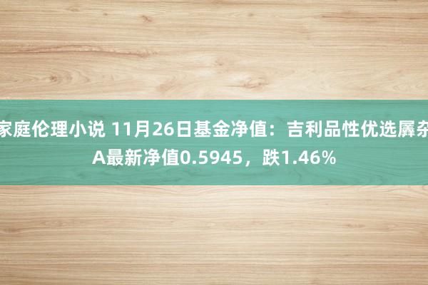 家庭伦理小说 11月26日基金净值：吉利品性优选羼杂A最新净值0.5945，跌1.46%