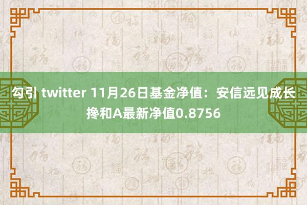 勾引 twitter 11月26日基金净值：安信远见成长搀和A最新净值0.8756