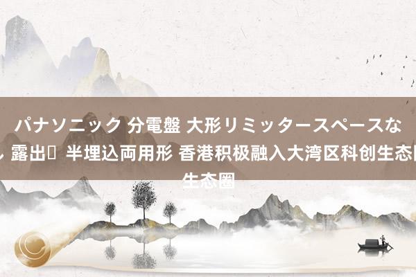 パナソニック 分電盤 大形リミッタースペースなし 露出・半埋込両用形 香港积极融入大湾区科创生态圈