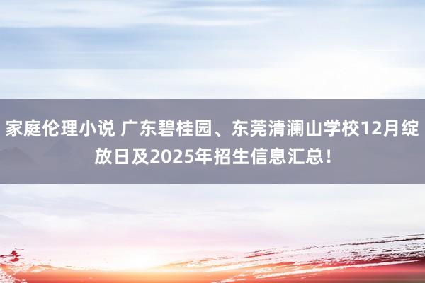 家庭伦理小说 广东碧桂园、东莞清澜山学校12月绽放日及2025年招生信息汇总！