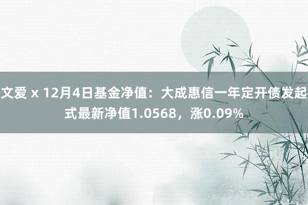 文爱 x 12月4日基金净值：大成惠信一年定开债发起式最新净值1.0568，涨0.09%