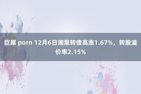 巨屌 porn 12月6日湘泵转债高涨1.67%，转股溢价率2.15%