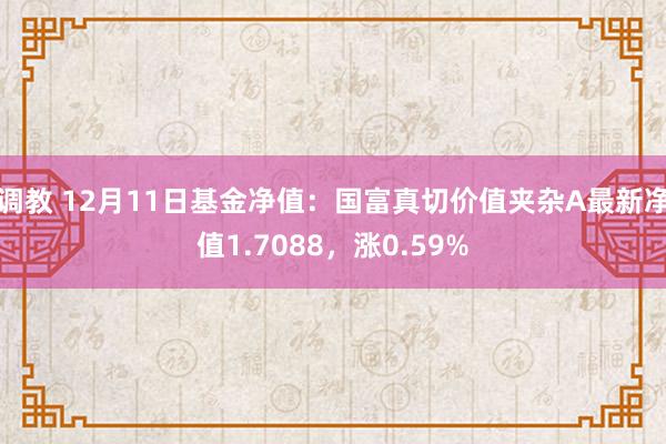 调教 12月11日基金净值：国富真切价值夹杂A最新净值1.7088，涨0.59%