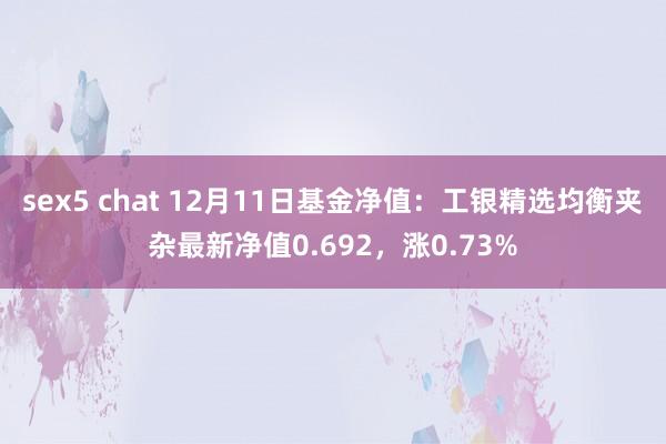 sex5 chat 12月11日基金净值：工银精选均衡夹杂最新净值0.692，涨0.73%