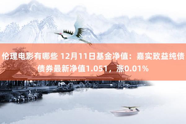 伦理电影有哪些 12月11日基金净值：嘉实致益纯债债券最新净值1.051，涨0.01%