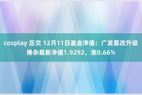 cosplay 足交 12月11日基金净值：广发篡改升级搀杂最新净值1.9292，涨0.66%