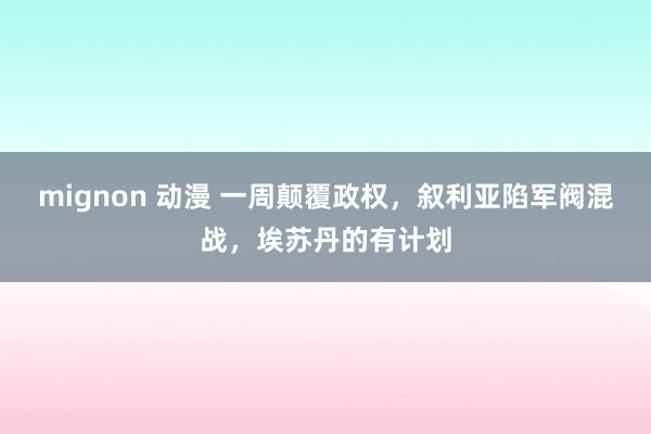 mignon 动漫 一周颠覆政权，叙利亚陷军阀混战，埃苏丹的有计划