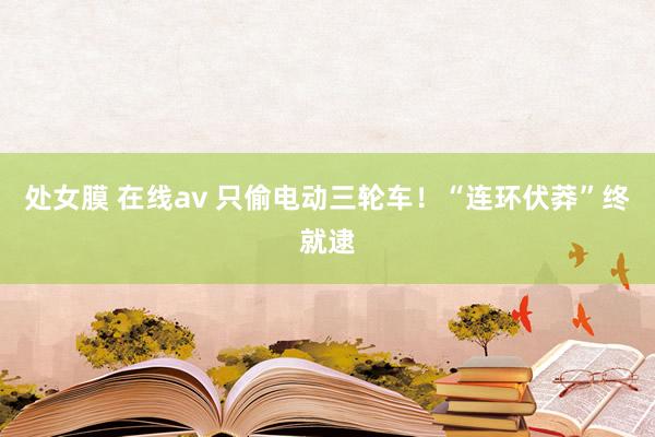 处女膜 在线av 只偷电动三轮车！“连环伏莽”终就逮