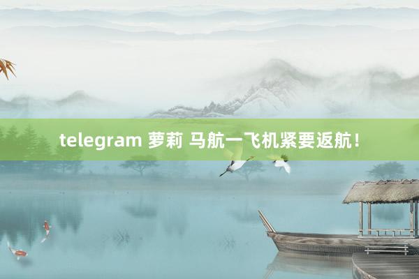 telegram 萝莉 马航一飞机紧要返航！