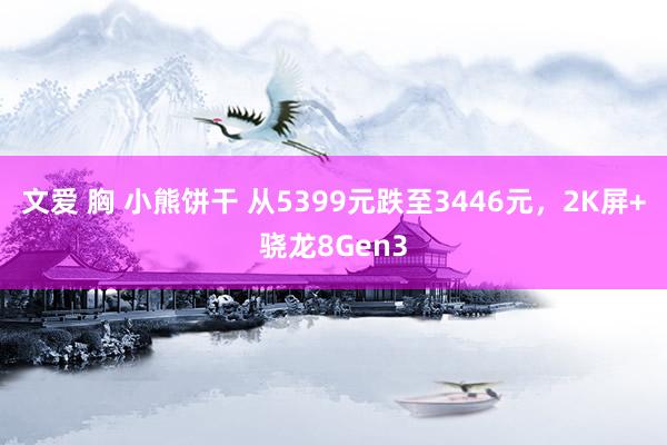 文爱 胸 小熊饼干 从5399元跌至3446元，2K屏+骁龙8Gen3