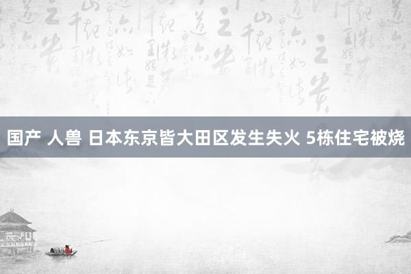 国产 人兽 日本东京皆大田区发生失火 5栋住宅被烧