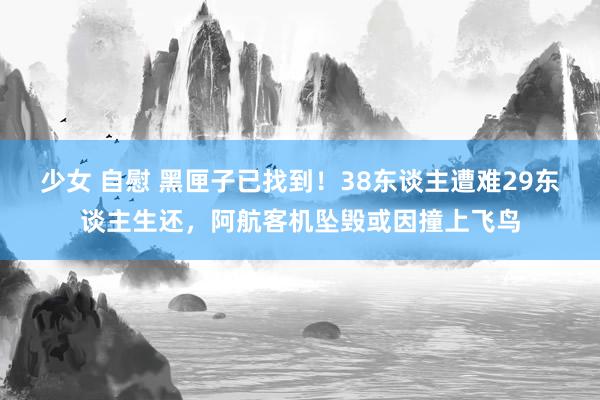 少女 自慰 黑匣子已找到！38东谈主遭难29东谈主生还，阿航客机坠毁或因撞上飞鸟